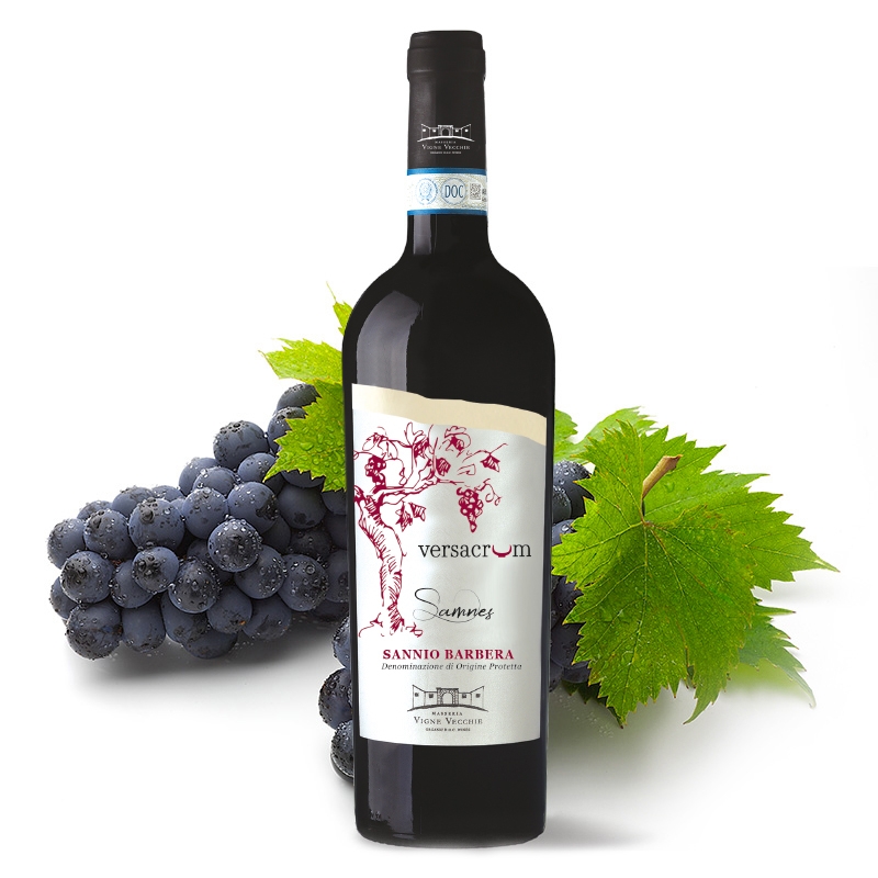 Versacrum Sannio Barbera 2019