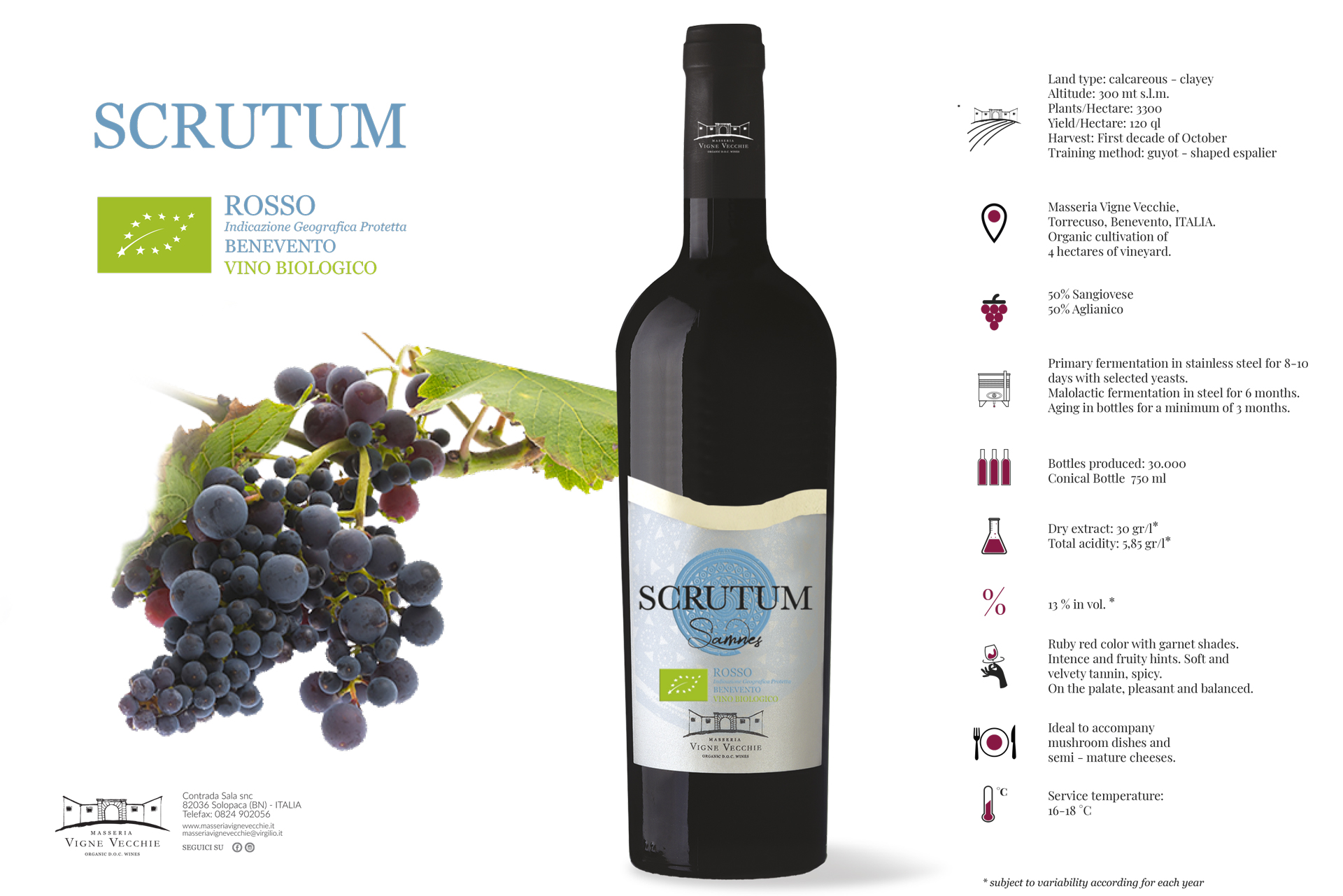 Rosso Beneventano Scrutum