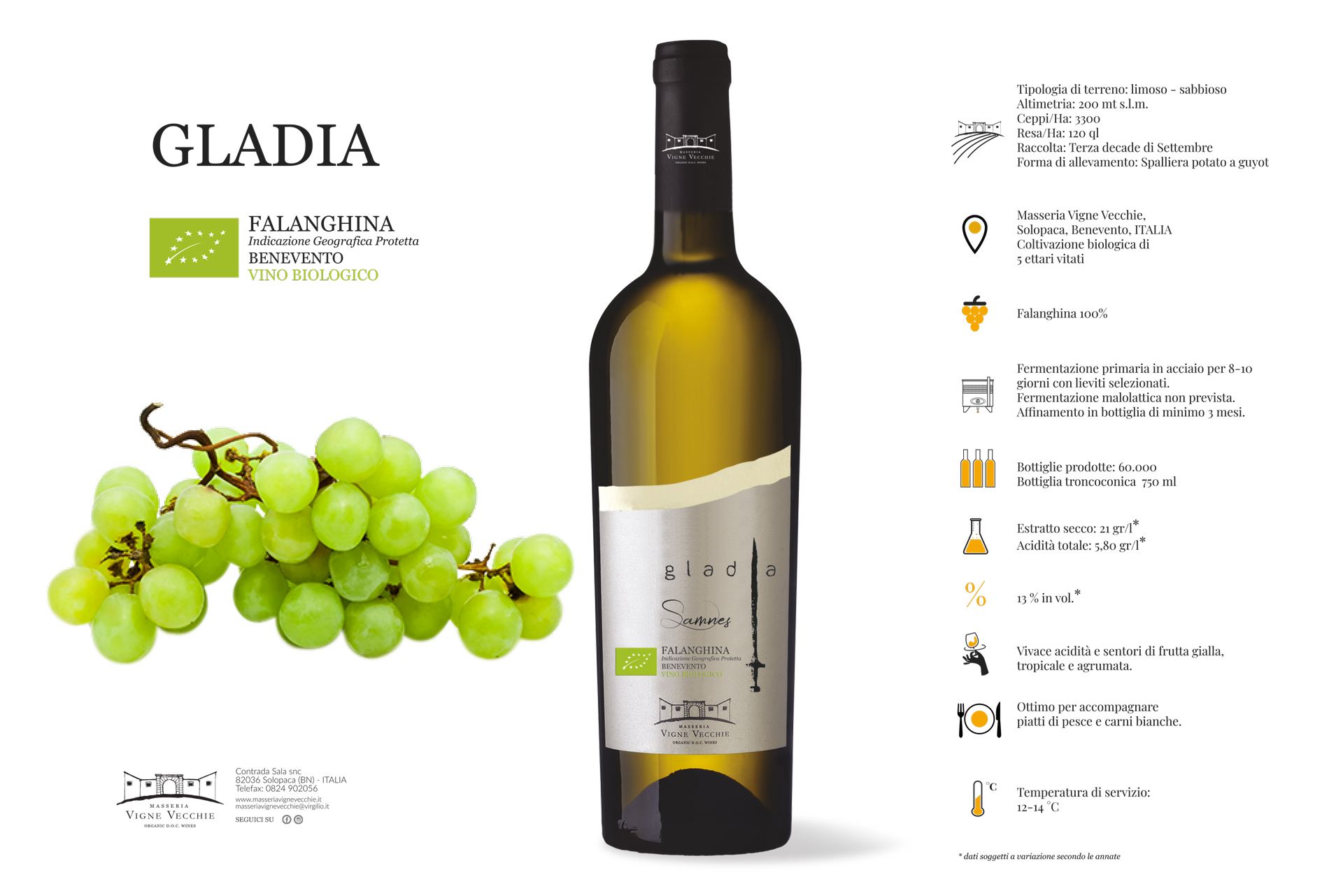 Falanghina del Beneventano Gladia