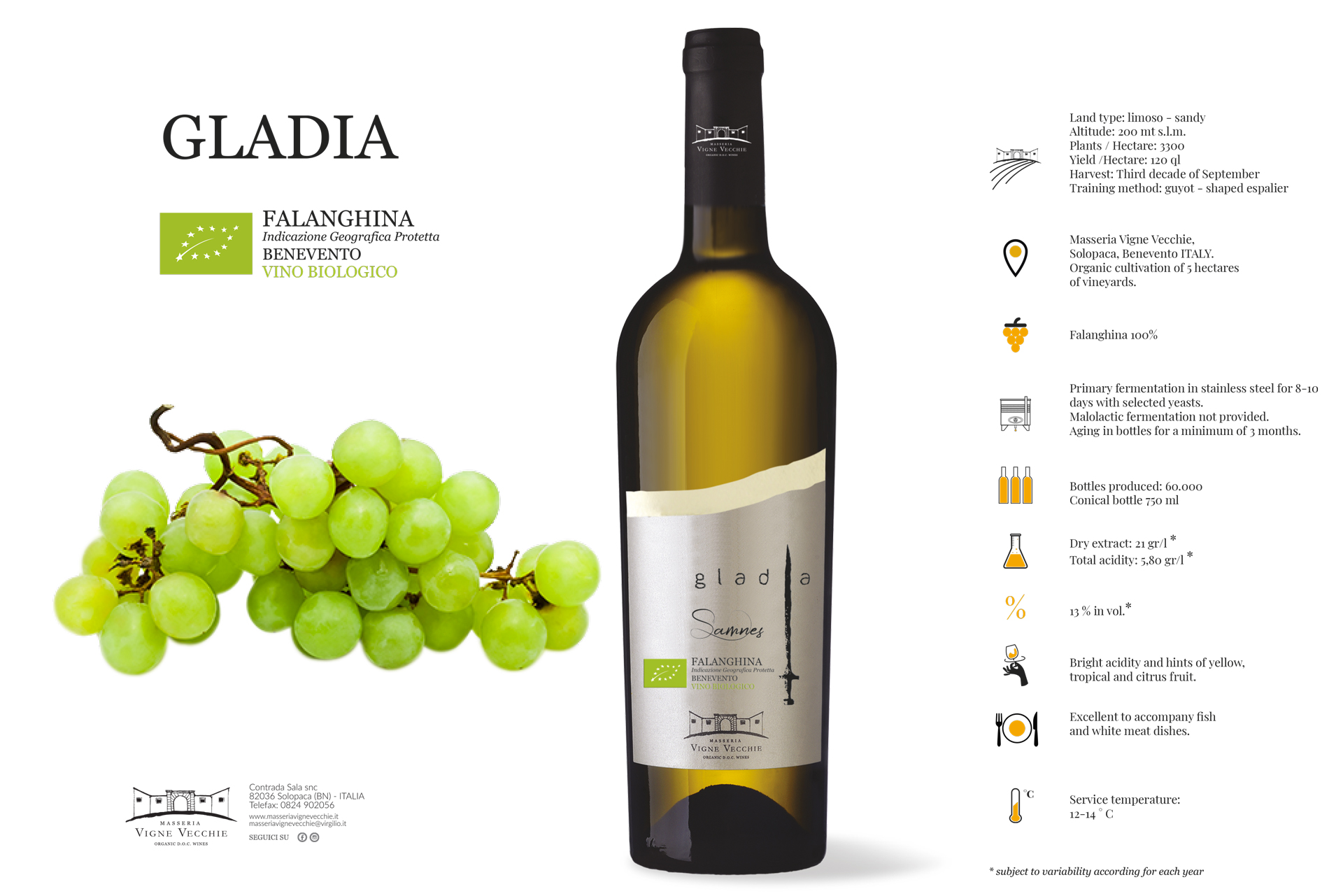 Falanghina del Beneventano Gladia