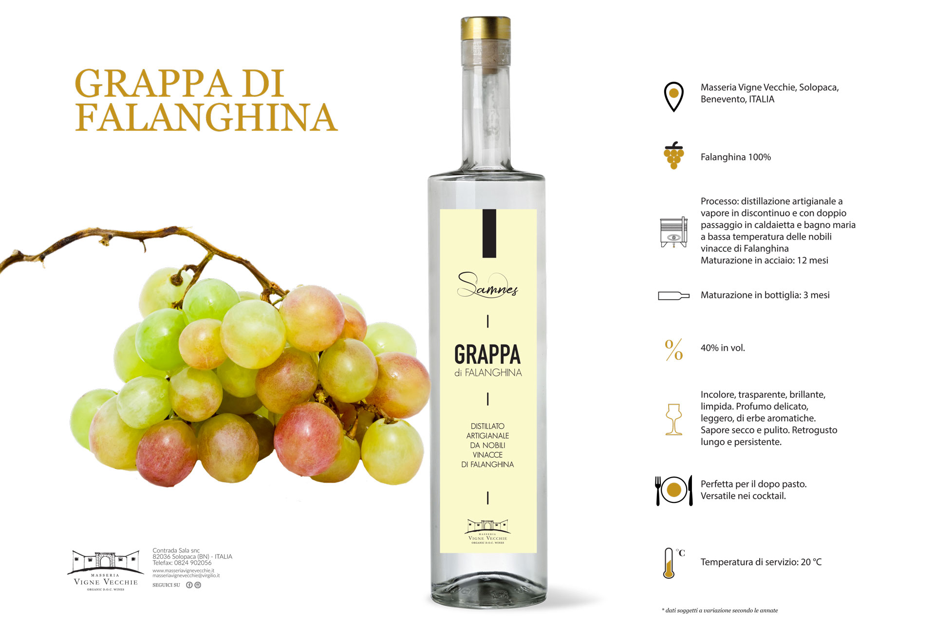 Grappa di Falanghina