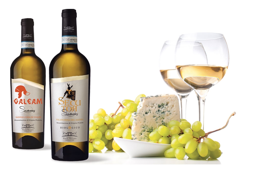 SECUTOR&GALEAM. Falanghina e Coda di Volpe di Masseria Vigne Vecchie